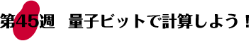 第45週：量子ビットで計算しよう！